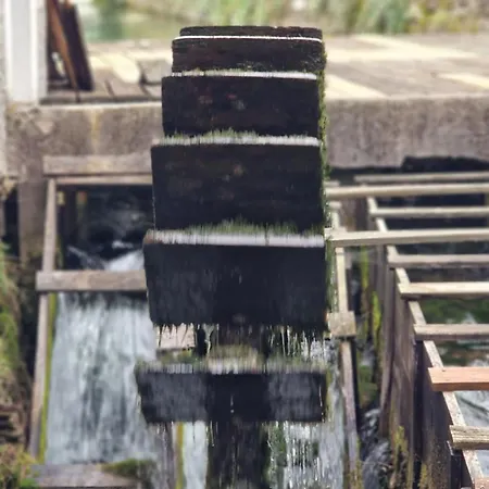 Mary's Old Mill